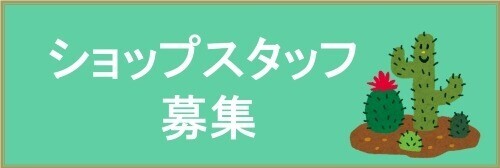 スタッフ募集中！