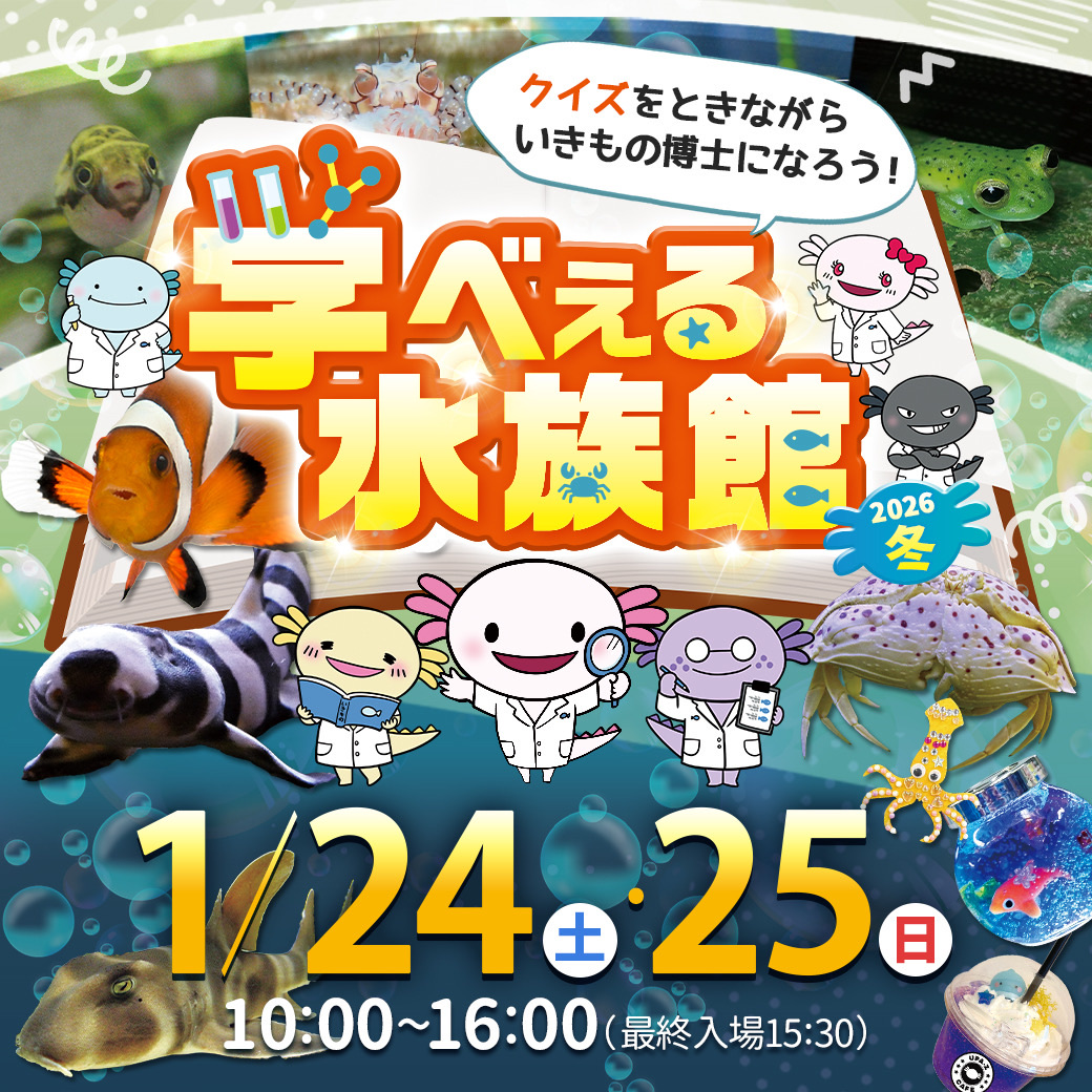 みずみずランドシリーズ【学べぇる水族館】