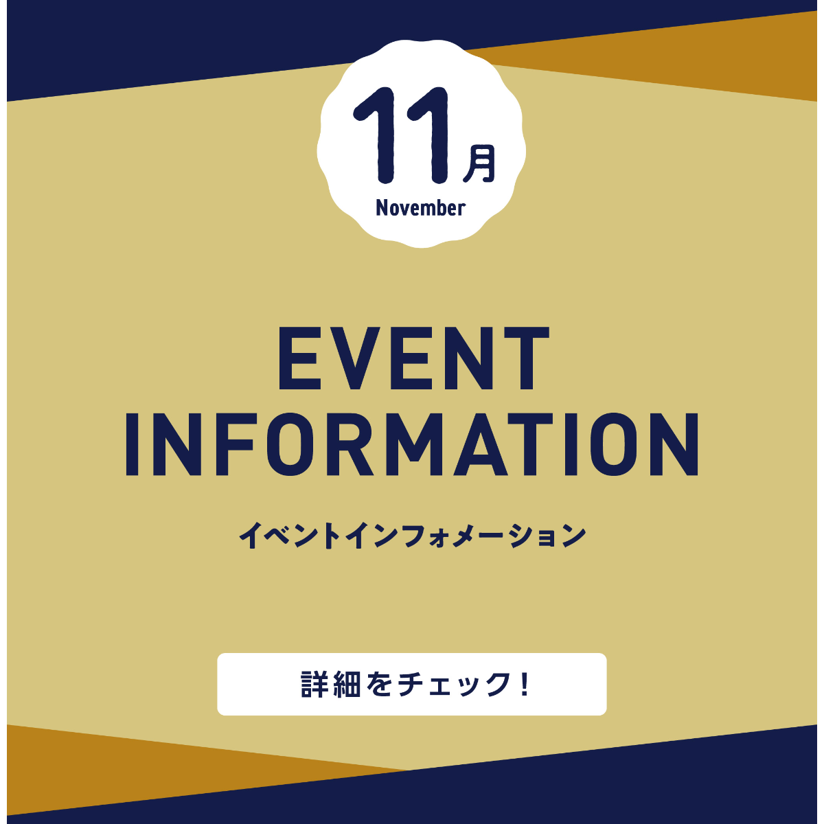 11月イベントインフォメーション